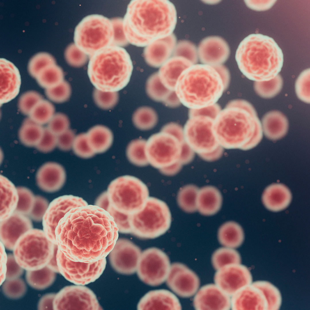 HPV Tipleri Nelerdir?