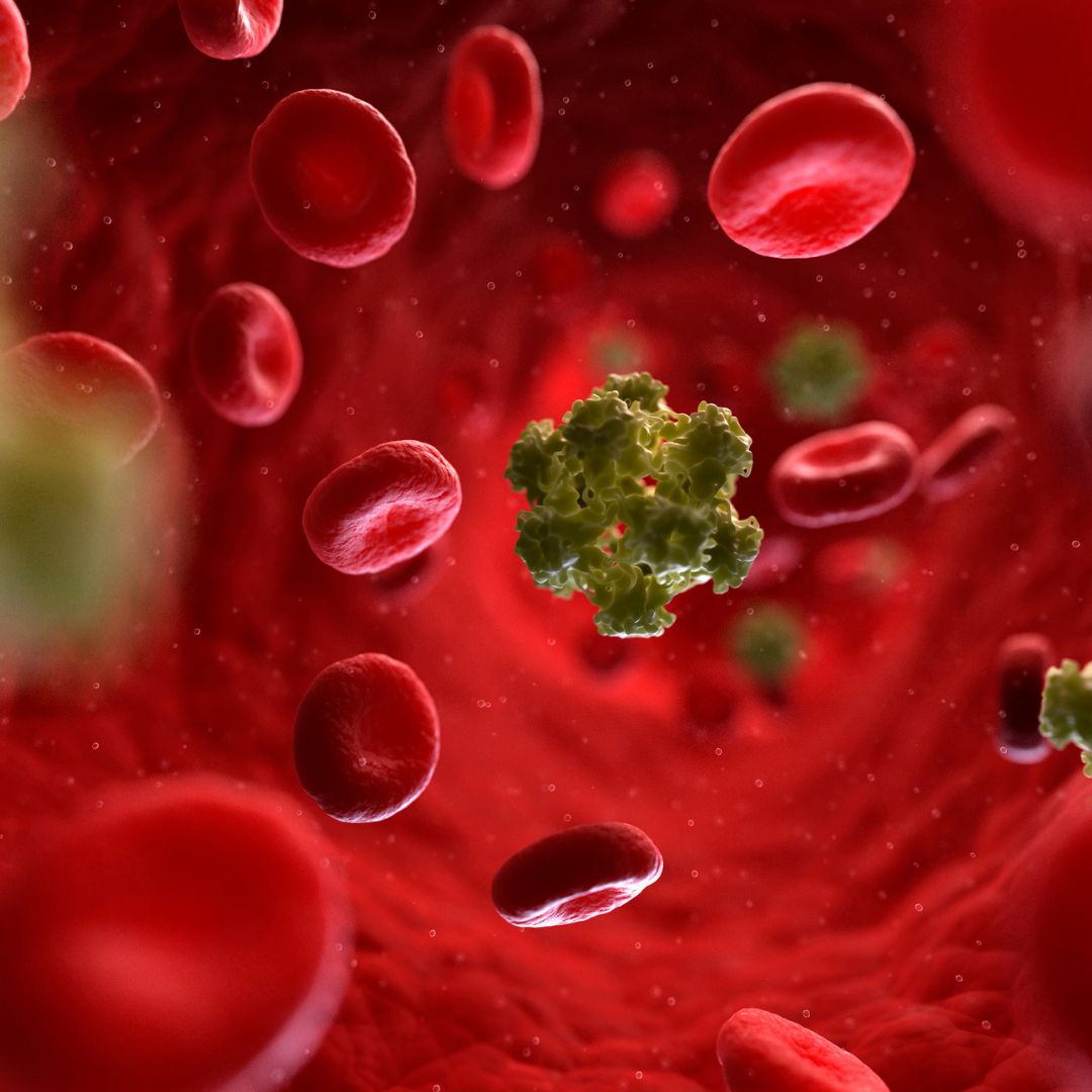 Genital Siğil Hangi Bölgelerde Görülür?